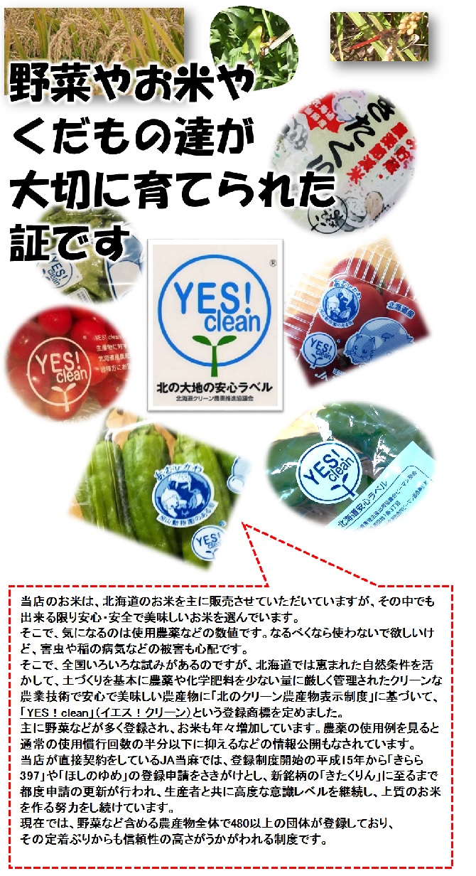 イエスクリーン